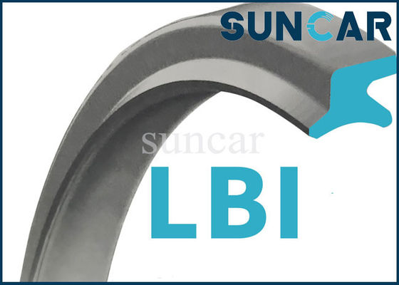comprar Vedação de pó de lábio duplo LBI Vedação de limpeza para equipamentos industriais online manufacture