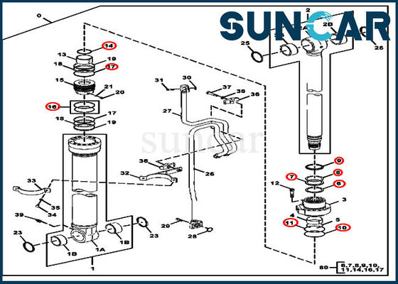 Máquina escavadora JOHN DEERE de Kit Service Kit For 245GLC do selo do cilindro do crescimento FYA00001396