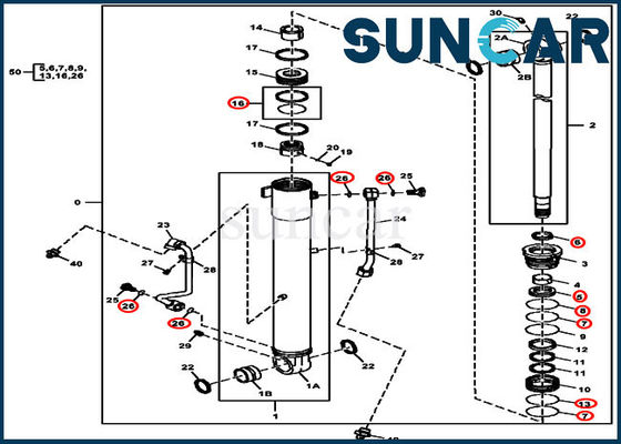 Reparo Kit Replacement Kits For John Deere 60D do selo do cilindro de 4687559 crescimentos